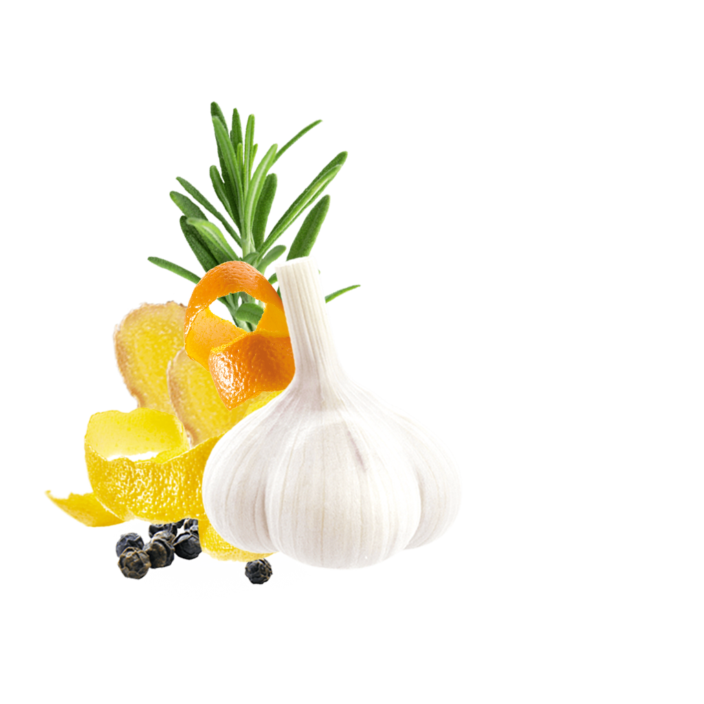 Nouvelle Cuisine Vegetable Content Hu