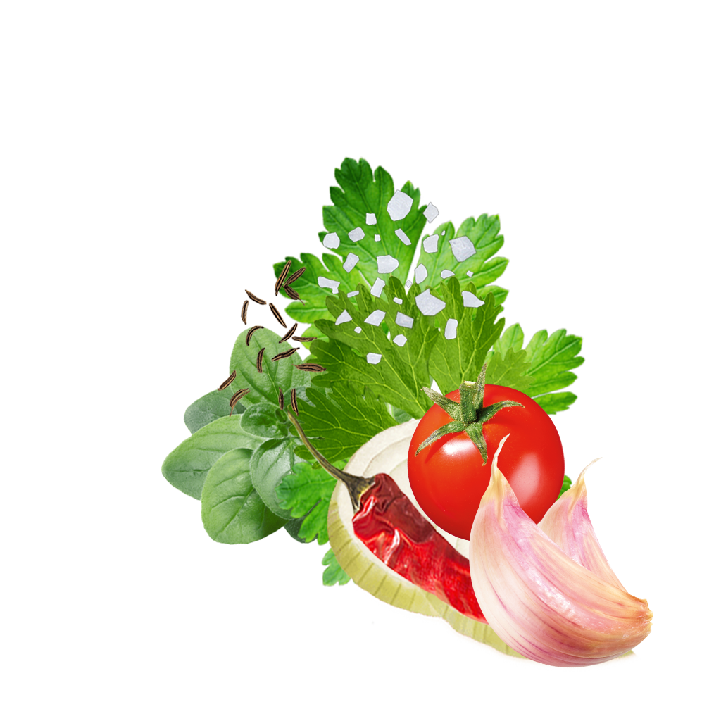 Detail Secrets Of Salsa