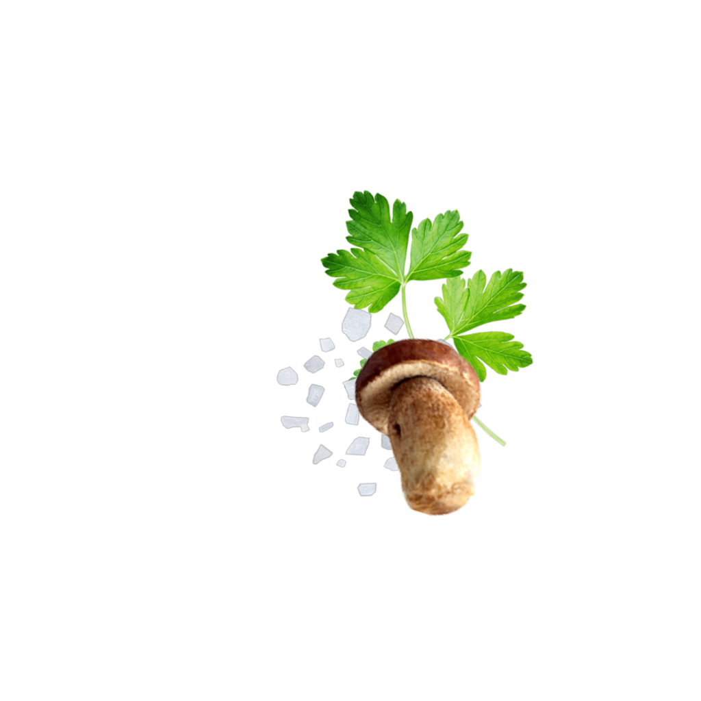 Mushroom Hu